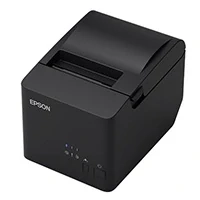 Epson T100S